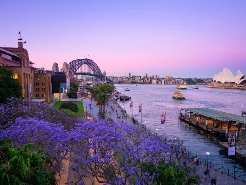Is Sydney property a good investment?