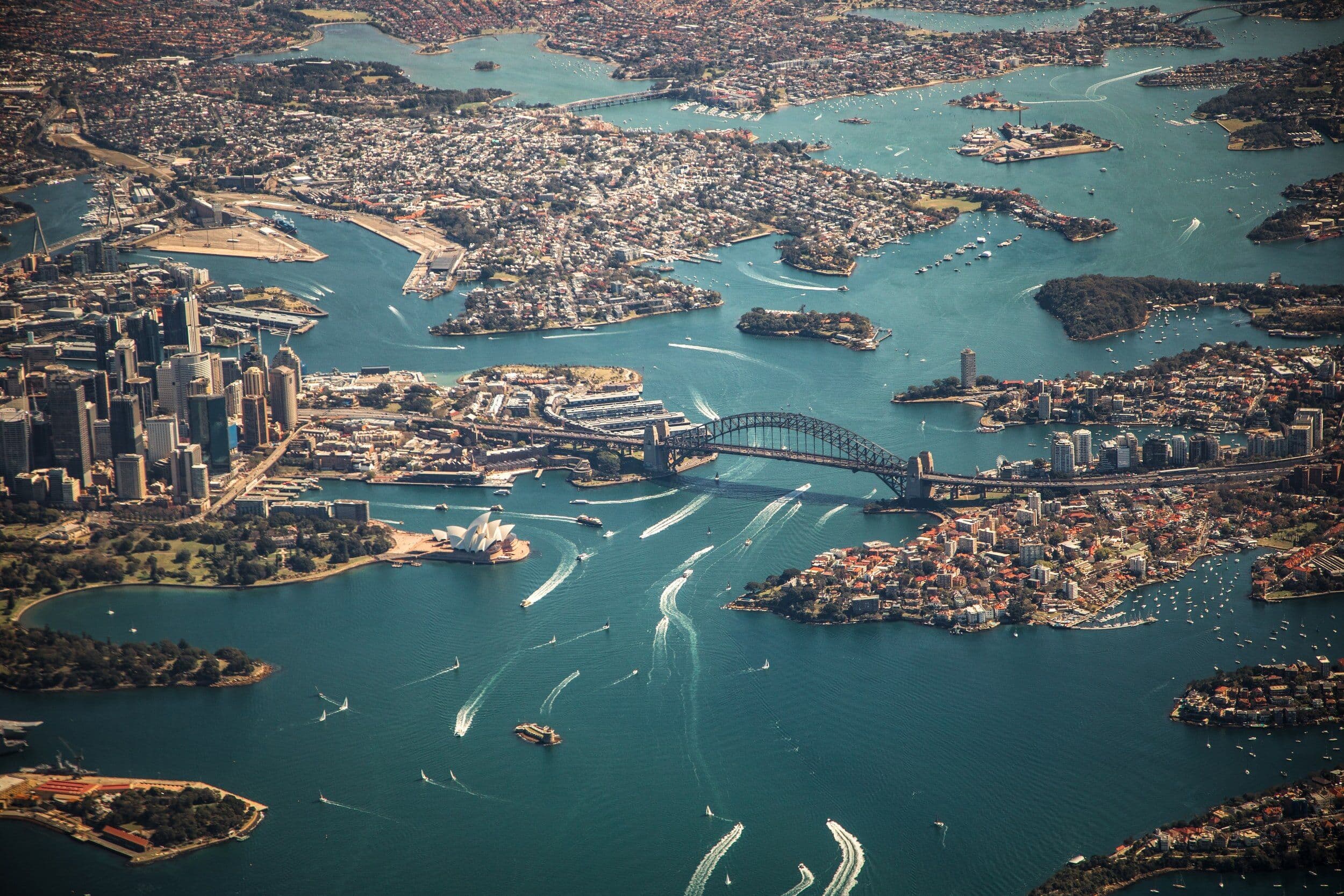 Sydney market fever subsides